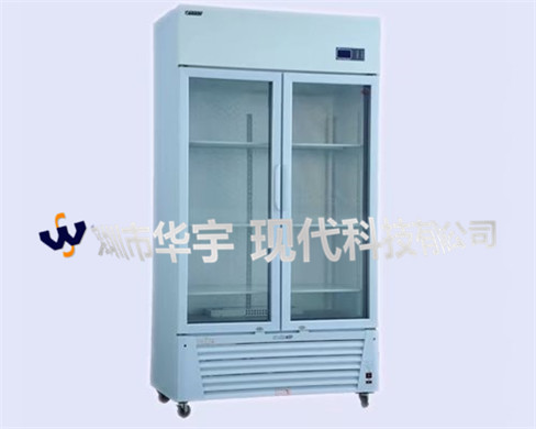 黄瓜官网入口现代出货照片 黄瓜官网入口现代出货照片